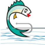 Neptunusfish.be Favicon