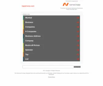 Nepzmora.com(Bishwa Portfolio Website) Screenshot