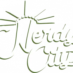 Nerdycity.com Favicon