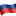Nersoft.ru Logo
