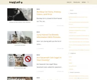 Nescat.com(Cat Care) Screenshot