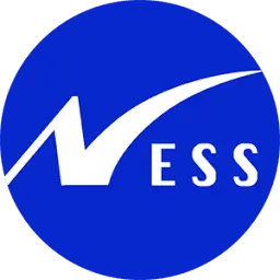 Ness.sk Favicon