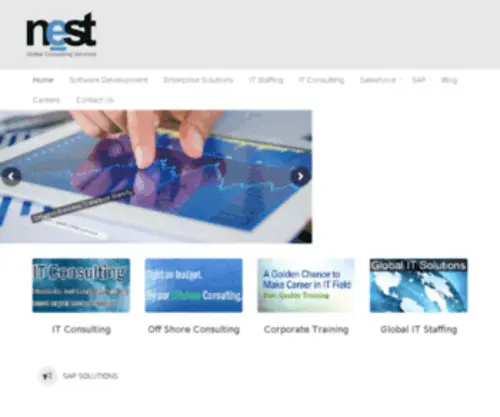 Nestgcs.com(Best Global Consulting Services) Screenshot