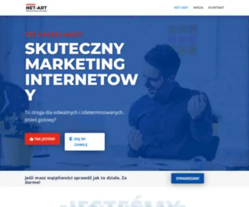 Net-ART.com.pl(Skuteczne Strony Internetowe) Screenshot