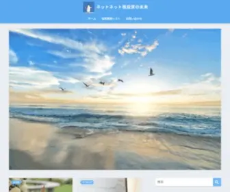 Net-Net-Value.com(ネットネット株投資の未来) Screenshot