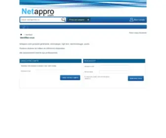 Netappro.com(Grossiste HighTech Brico Jouets) Screenshot