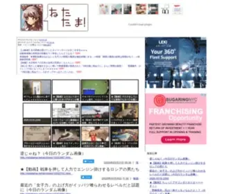 Netatama.net(Netatama) Screenshot