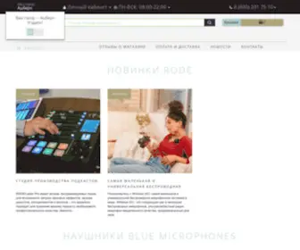 Netaudio.ru(магазин аудио оборудования) Screenshot