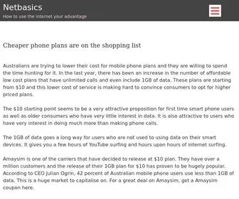 Netbasics.org.nz(How to use the internet your advantage) Screenshot