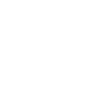 Netcarrier.com Favicon