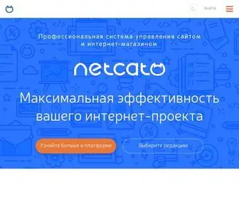 Netcat.ru(Система) Screenshot