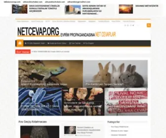 Netcevap.org(Evrim) Screenshot