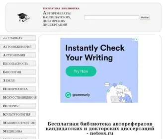 Netess.ru(Бесплатная) Screenshot