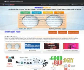 Netflowauditor.com(Netflow Auditor) Screenshot