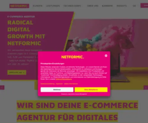 Netformic.de(Radical Digital Growth) Screenshot