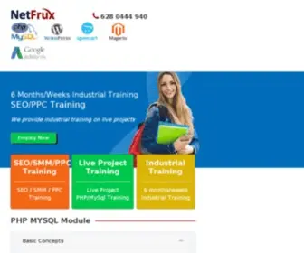 Netfruxinfotech.com(Netfruxinfotech) Screenshot