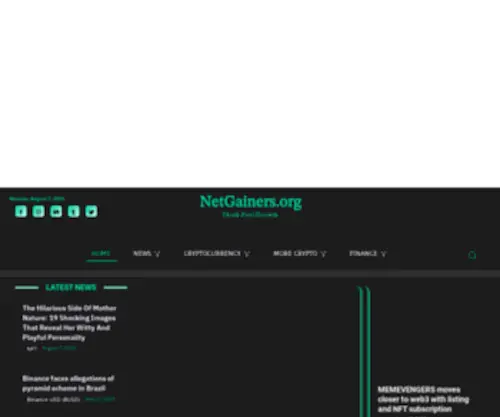 Netgainers.org(Stay up) Screenshot