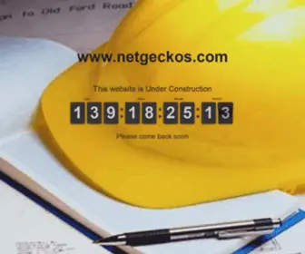 Netgeckos.com(Web design) Screenshot