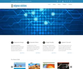 Netgenus.com(NetGenus Solutions Inc) Screenshot