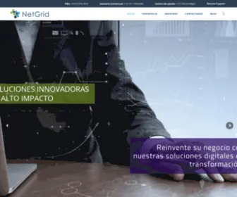 Netgrid.com.co(NetGrid S.A.S) Screenshot