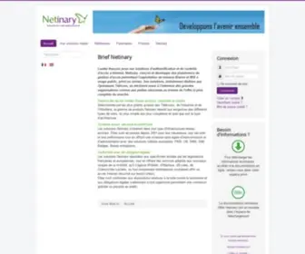 Netinary.com(Accueil) Screenshot