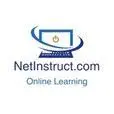 Netinstruct.com Logo