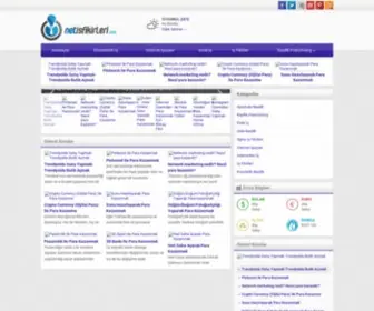 Netisfikirleri.com(İnternet) Screenshot