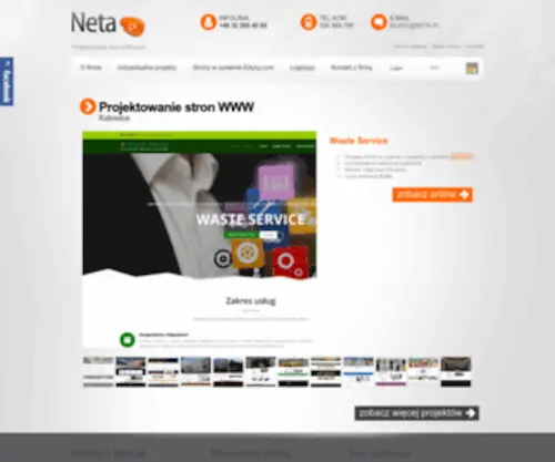 Net.katowice.pl(Projektowanie stron Katowice) Screenshot