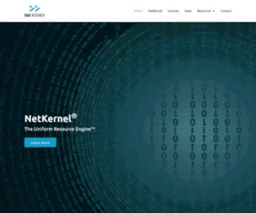 Netkernel.org(1060 Research) Screenshot