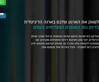 Netlicon.com(סוכנות לניהול מערכי שיווק דיגיטליים) Screenshot