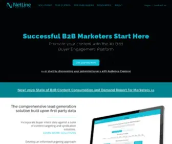 Netline.com(Top B2B Content Syndication Lead Generation Network for B2B Marketers) Screenshot