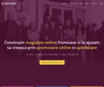 Netlogiq.ro(Magazine online pe Magento 2 cu o echipa experimentata) Screenshot