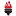Netmatics4U.com Favicon