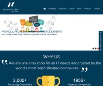 Netmaxims.com(Awarded logo design company) Screenshot