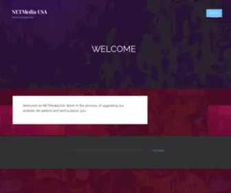 Netmediausa.com(Web Development) Screenshot