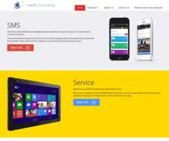 NetmGconsulting.com(NetMG Consulting) Screenshot