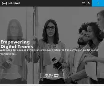 Netmind.es(Empowering Digital Teams) Screenshot