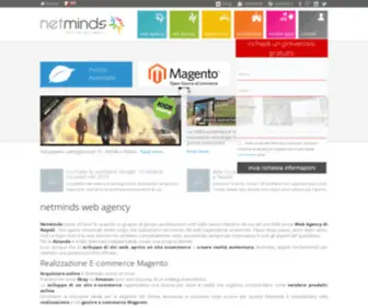 Netminds.it(Web Agency) Screenshot