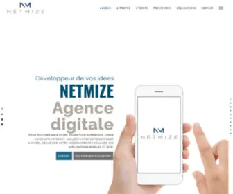 Netmize.com(Référencement) Screenshot