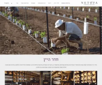 Netofa.com(יקב) Screenshot