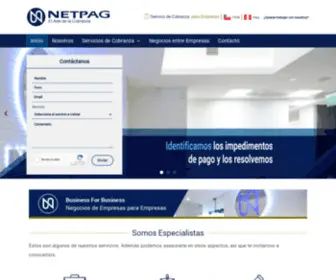 Netpag.cl(Inicio) Screenshot