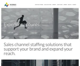 Netpique.com(Sales Outsourcing) Screenshot