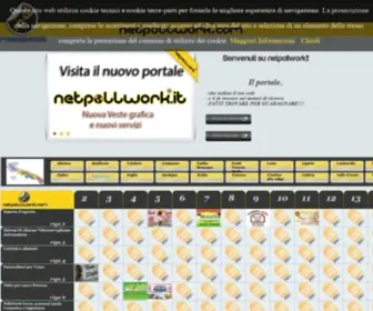 Netpollwork.com(Il portale dei contatti) Screenshot
