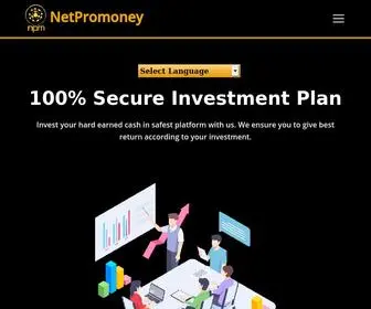 Netpromoney.com(A fast & secure investnment) Screenshot