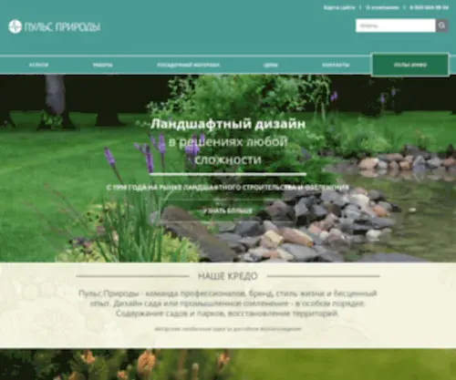Netpulse.ru(Netpulse) Screenshot