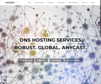 Netriplex.com(DNS Hosting Services) Screenshot