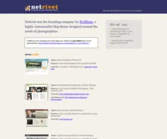 Netrivet.com(Website Design Holland Zeeland Michigan MI) Screenshot