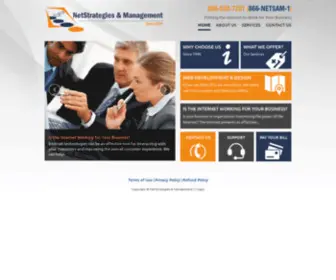 Netsam.com(NetStrategies) Screenshot