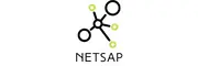 Netsap.org Favicon