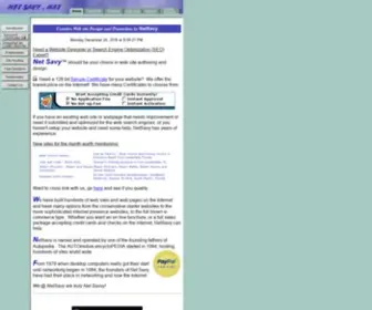 Netsavy.net(Web page Design and Web site Optimization) Screenshot